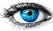 ЦІКАВІ ФАКТИ ПРО ЗІР ЛЮДИНИ - профілактика і лікування очей, поліпшення  зору ПРО100ЗІР | ПРО100ЗІР профилактика и лечение глаз, улучшение зрения